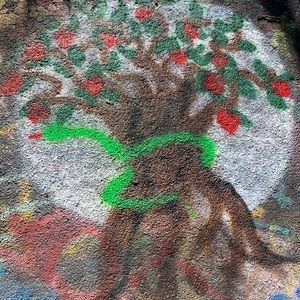 Meet your Posher, Dylan